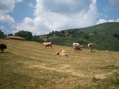 Loubaresse en Ardèche 6