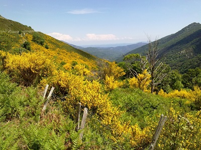 Loubaresse en Ardèche 4