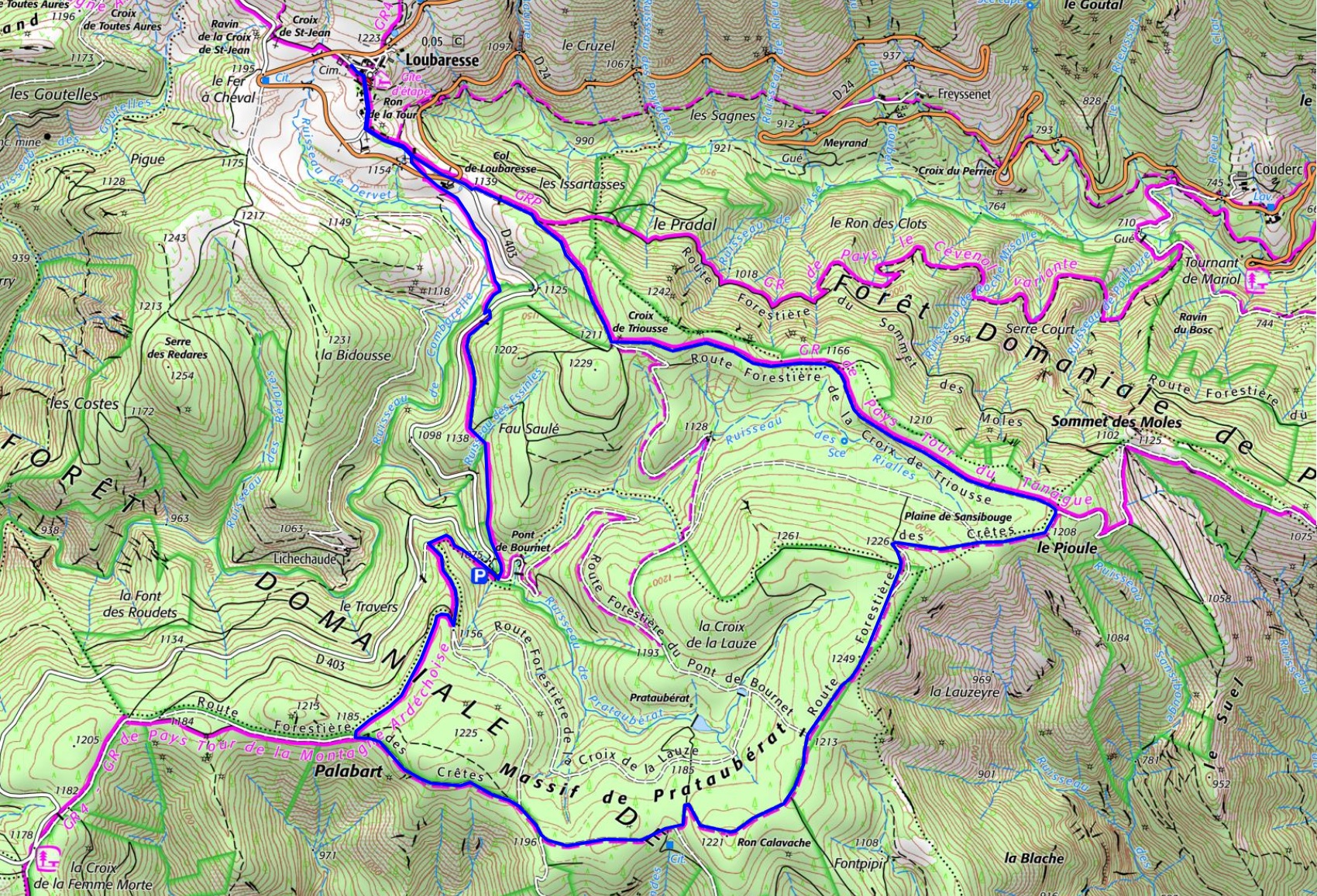 IGN Randonnée en boucle de 12km au départ de Loubaresse en Ardèche (Auvergne-Rhône-Alpes) via le Mas de Truc, Conches, Borne, Chazalettes, les Chambons et Pratarabiat.