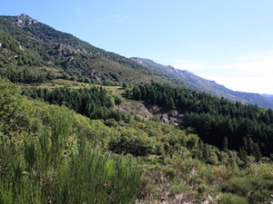 Randonnée pédestre en boucle de 20,5km au départ des Vans en Ardèche 1