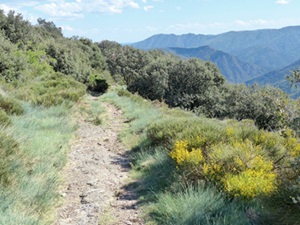 Randonnée pédestre en boucle de 20,5km au départ des Vans en Ardèche 5