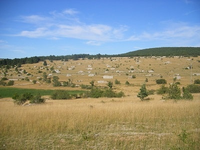 Causses and Cevennes in Lozere7