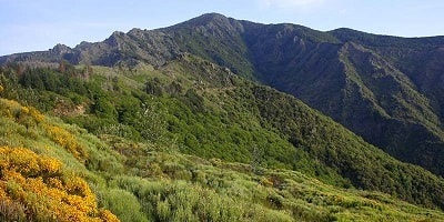 Mont Aigoual, der Wasserberg von der Cevennen 1