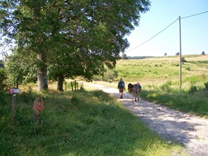 Randonnée pédestre en boucle de 19km au départ de Luc en Lozère 3
