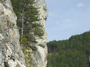 Circuit de randonnée à Mende en Lozère de 15,2km.4