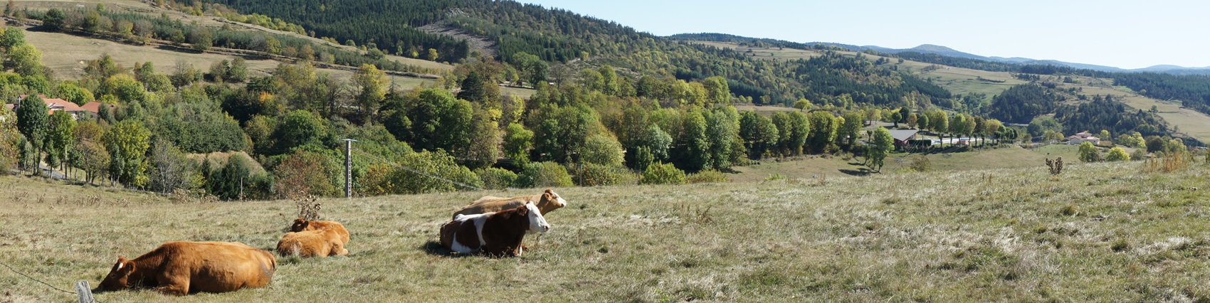 Arrivée à Pradelles par le GR®70 Chemin Stevenson