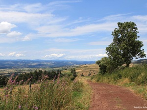 Randonnée de 11,5km à Pradelles en Haute-Loire 2