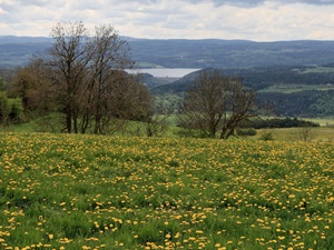 Randonnée de 11,5km à Pradelles en Haute-Loire 3