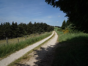 Randonnée de 11,5km à Pradelles en Haute-Loire 4