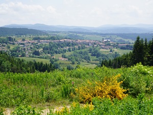 Randonnée de 11,5km à Pradelles en Haute-Loire 5