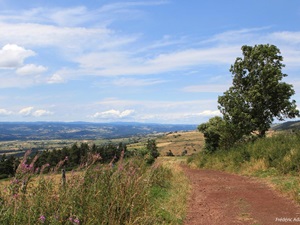 Randonnée de 8km à Pradelles en Haute-Loire 5