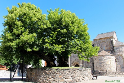 Prévenchères en Lozère (Occitanie) 2