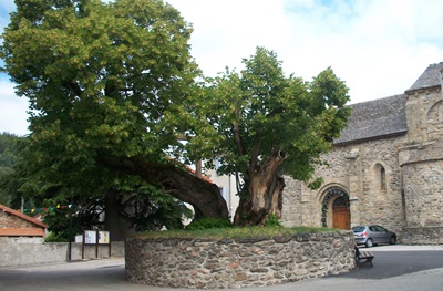 La paroisse Saint-Pierre de Prévenchères 1