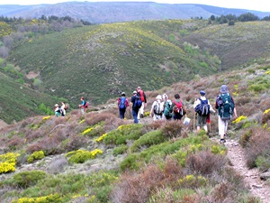 Randonnée de 15,5km à Prévenchères en Lozère 4