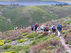 Randonnée de 16,7km à Prévenchères en Lozère 1