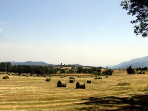 Randonnée de 16,7km à Prévenchères en Lozère 3