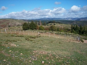 Randonnée de 16,7km à Prévenchères en Lozère 5