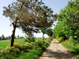 Randonnée de 17,3km à Prévenchères en Lozère 3