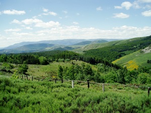 Randonnée de 17,3km à Prévenchères en Lozère 4