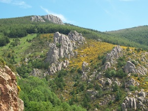 Randonnée de 4,5km à Prévenchères en Lozère 4