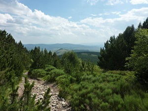 Randonnée de 6,5km à Prévenchères en Lozère 3